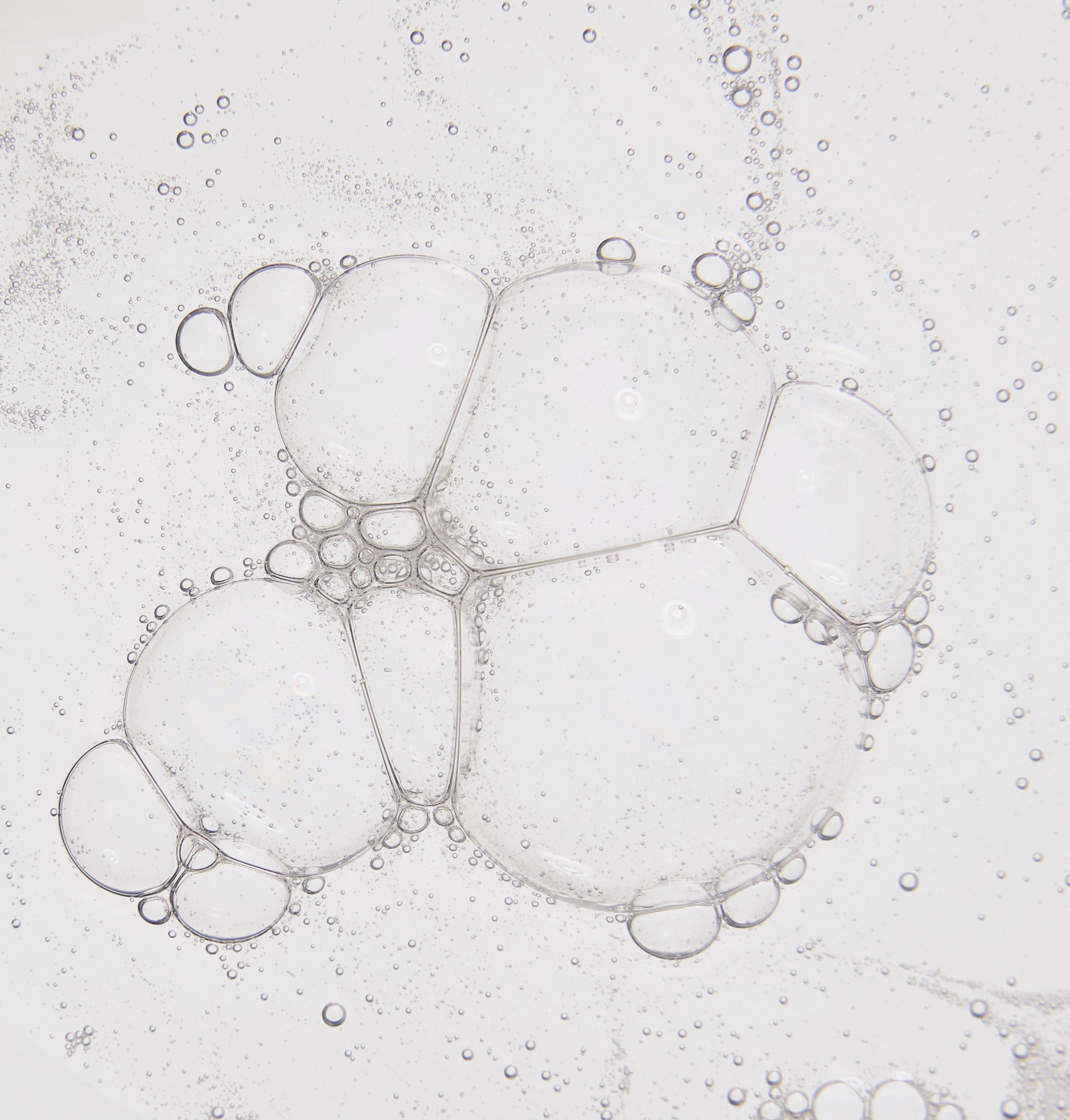 Hand & Body Wash | With Olive & Coconut Oil