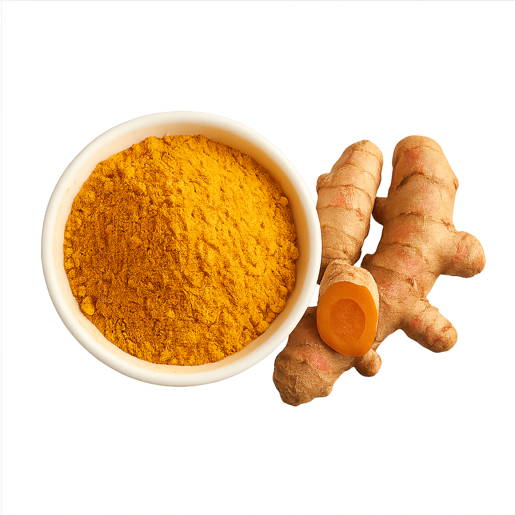 Kleine Schale mit intensiv leuchtendem Kurkuma-Pulver, daneben frische Kurkuma-Knollen, eine davon aufgeschnitten mit orangefarbenem Inneren.