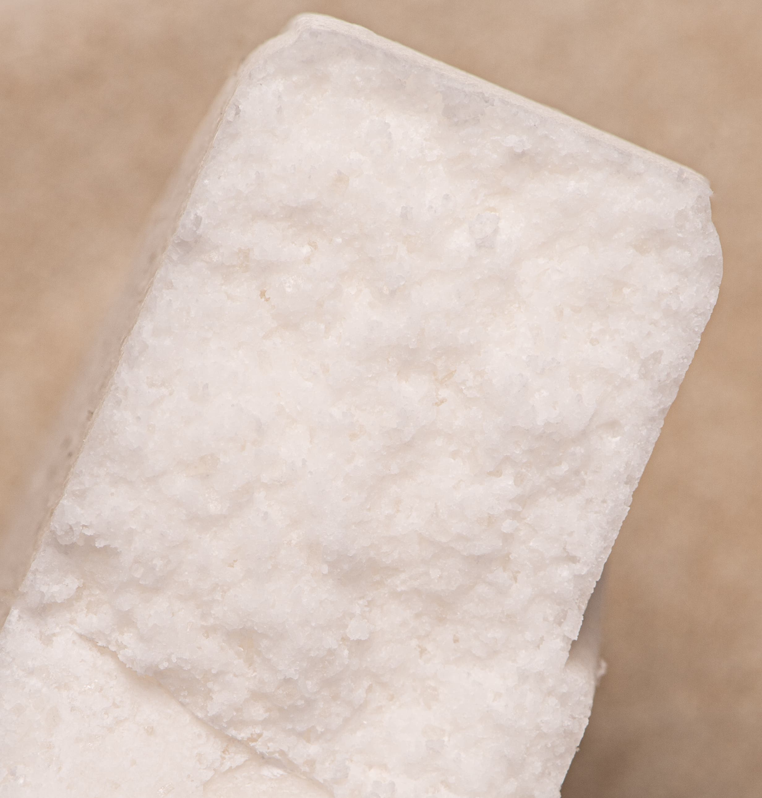Repair Shampoo Bar