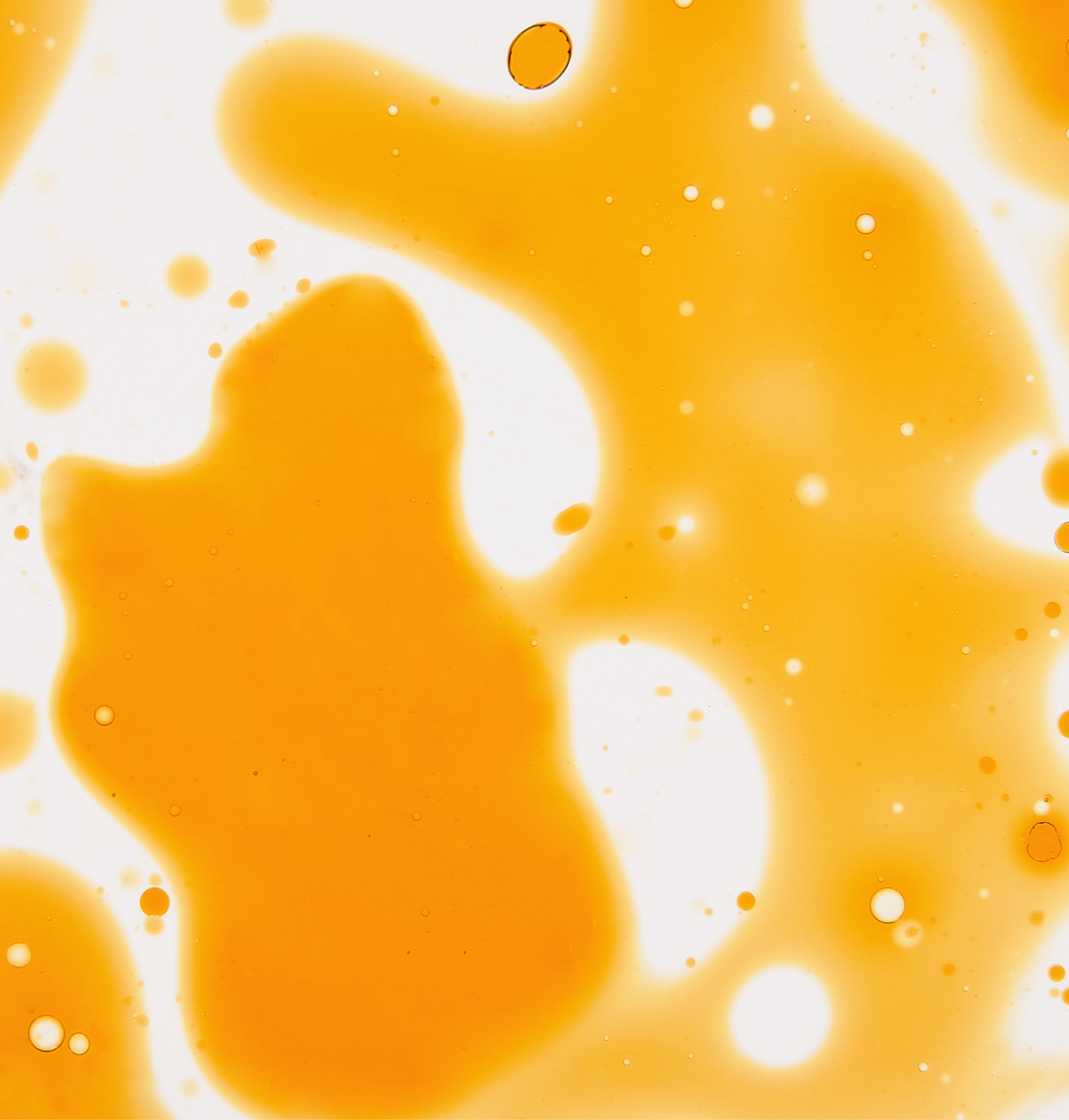 Ginger Curcuma Serum | by Monica Ivancan