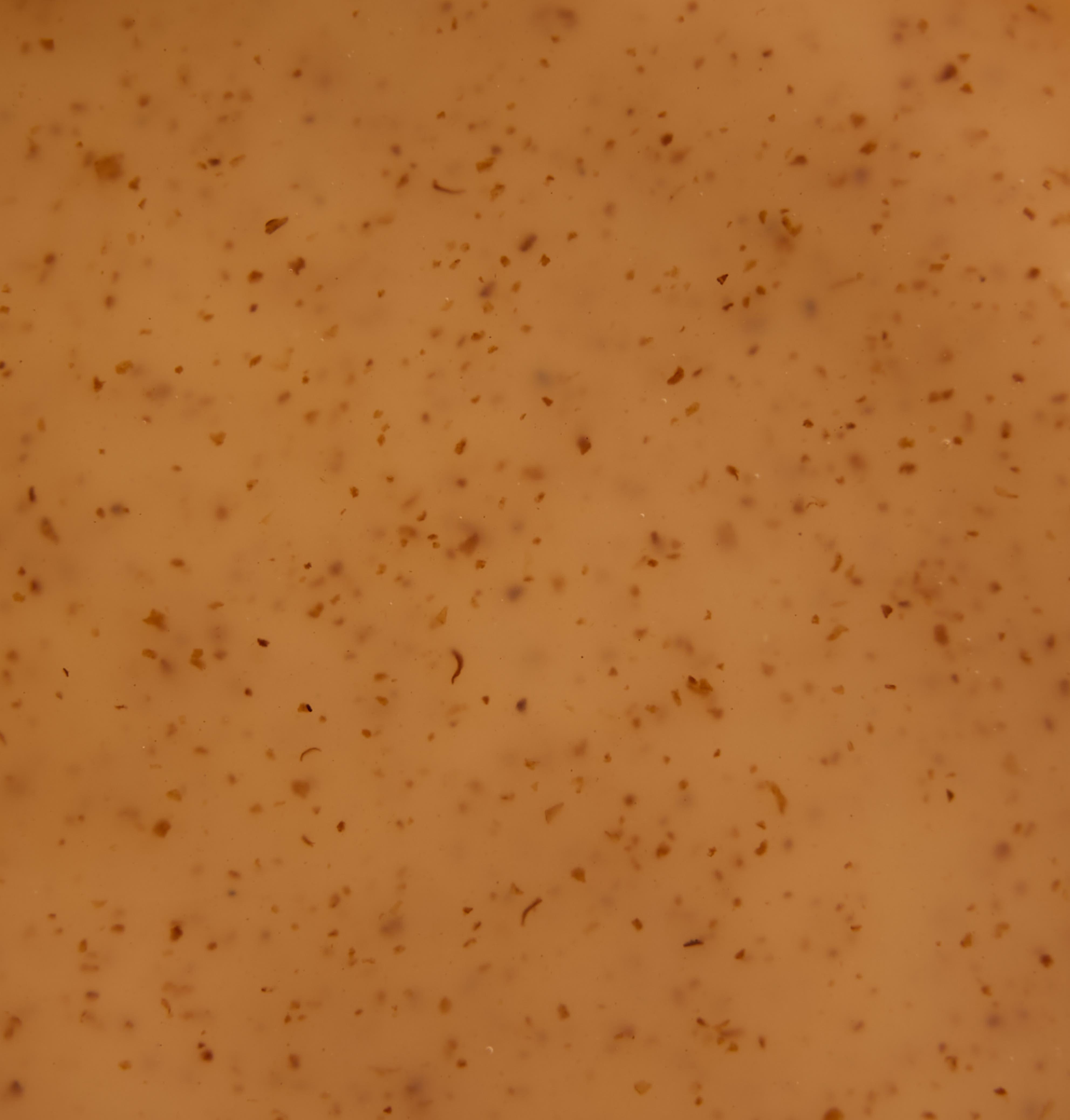 Scalp Exfoliating Shampoo | with papaya extract