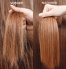 Repair Shampoo | with Quinoa & Amino Acids